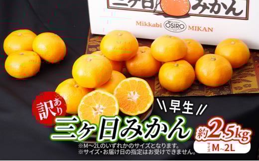 【2025年11月中旬より順次発送】『訳あり』 三ヶ日みかん 早生 2.5kg みかん ミカン 果物 柑橘 フルーツ 訳あり 静岡 浜松市[№5360-0481]