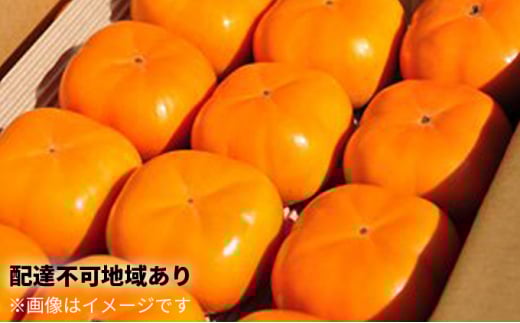 長生き次郎柿「長寿郎（ちょうじゅろう）」2L～Mサイズ 5kg 20～28玉入り 11月発送  柿 かき 果物 くだもの フルーツ 旬の果物 旬のフルーツ 秋の味覚 次郎柿 デザート 静岡 静岡県 高級 浜松市【配送不可：離島】 [№5786-4595]