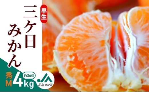 早生三ケ日みかん 秀M 4kg （約36個） みかん ミカン フルーツ 果物 くだもの 機能性表示食品 浜松市 [№5360-0857]