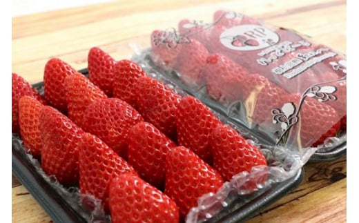 0017-40-02 れっどぱーる (富丘佐野農園) 自慢のいちご 完熟紅ほっぺ 4パック