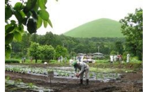 ５．農業・林業・水産業の振興に関する事業