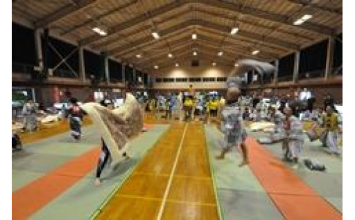８．元気あふれる伊東市づくり事業