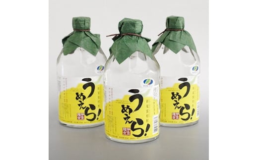 「新夏蜜柑(ニューサマーオレンジ)酎うめえら!」3本セット【1014955】