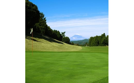 <伊東カントリークラブ>平日限定セルフ ペアプレー券【1015209】