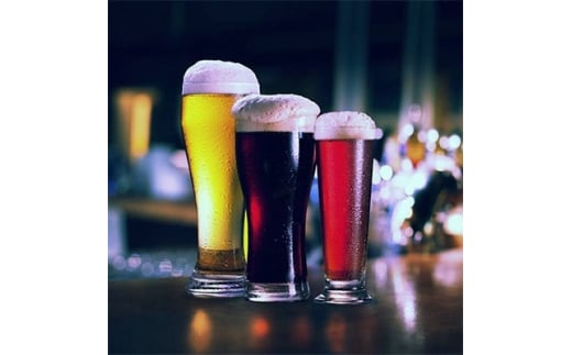 伊豆の地ビール3種×10＜30本セット＞【1112466】