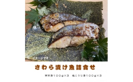 静岡県御前崎産『本さわら漬け魚詰合せ』【1120326】