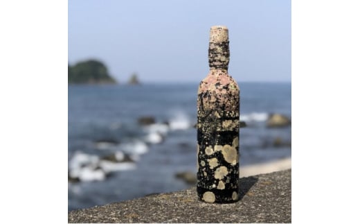 赤ワイン潜酔酒(カベルネソービニオン)【1380225】