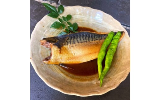 ＜毎月定期便＞さば味噌煮 詰め合わせ全12回【4007856】