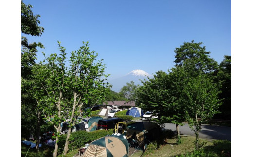 乙女森林公園第２キャンプ場宿泊券（テントサイト：5名）