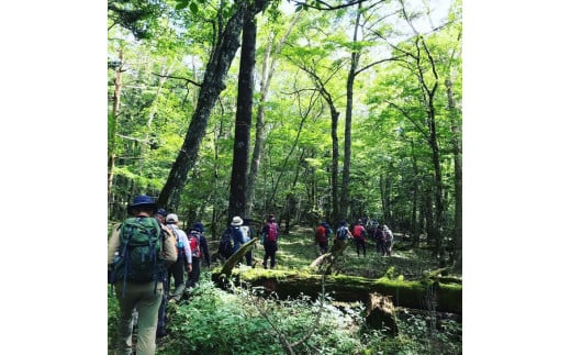 山小屋で昼食＆プロガイド付き富士山五合目トレッキング（ペア）◇【体験　自然　トレッキング　ハイキング】