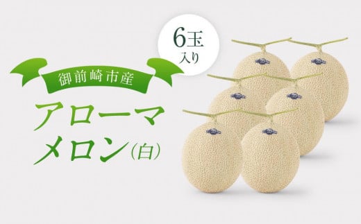 御前崎市産アローマメロン(白)6玉入り