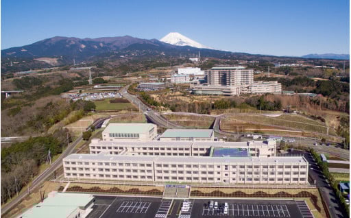 安定した雇用を創出する