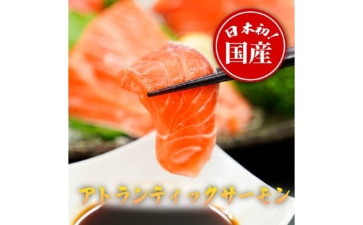 1B6【日本初：完全陸上養殖】「 フジサクラサーモン 」【 生 ・冷蔵】800ｇ