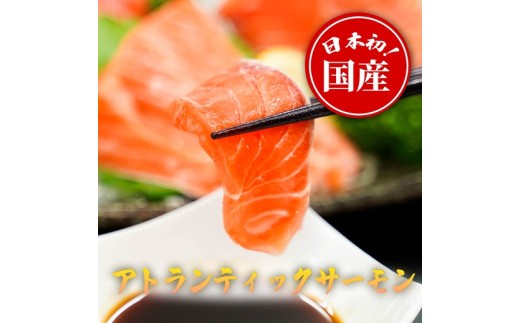 2B7【日本初：完全陸上養殖】「 フジアトランティック サーモン 」【 生 ・冷蔵】800ｇ以上