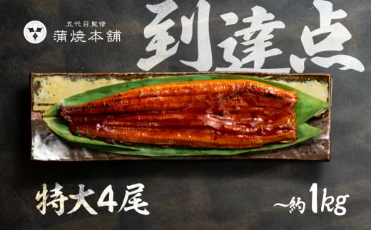 ふっくら肉厚！国産うなぎ 蒲焼 特大 4尾 老舗 国産うなぎ セット 詰め合わせ 蒲焼 ウナギ うなぎ unagi 鰻