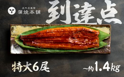 ふっくら肉厚！国産うなぎ 蒲焼 特大 6尾 老舗 国産うなぎ セット 詰め合わせ 蒲焼 ウナギ うなぎ unagi 鰻