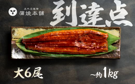 ふっくら肉厚！国産うなぎ 蒲焼 大 6尾 老舗 国産うなぎ セット 詰め合わせ 蒲焼 ウナギ うなぎ unagi 鰻 6尾