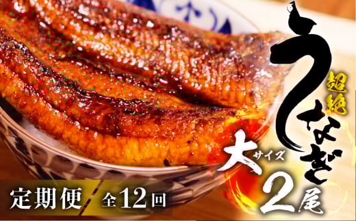 超絶うなぎ蒲焼 大2尾 定期便 12回