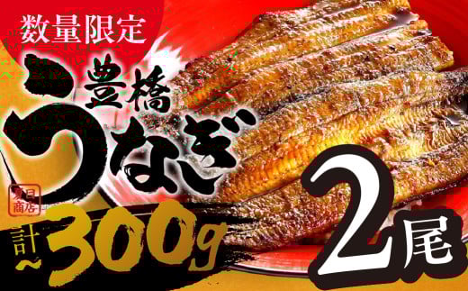 【すぐにお届け】極上 豊橋うなぎ 蒲焼 2尾 ~300g 夏目商店