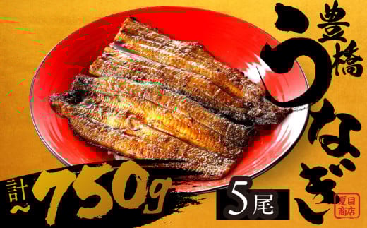 【すぐにお届け】極上 豊橋うなぎ 蒲焼 5尾 ~750g 夏目商店
