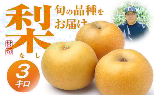 ≪2026年 先行予約≫朝倉さんの『小島梨』 3kg ~ 9玉 幸水 凛夏 秋麗 あきづき 甘太 など