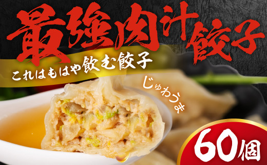 とよはし『最強肉汁餃子』60個入り
