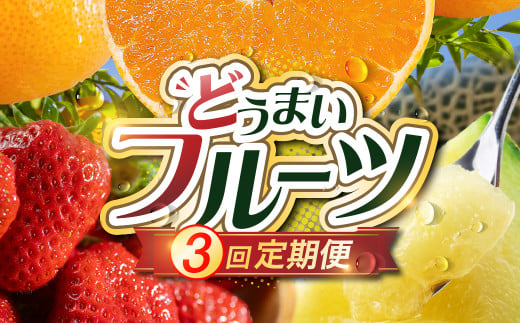 《先行予約》どうまい フルーツ 定期便 全3回 いちご みかん メロン  紅ほっぺ ゆめのか  ミカン マスクメロン めろん 果物 フルーツ 旬 先行予約