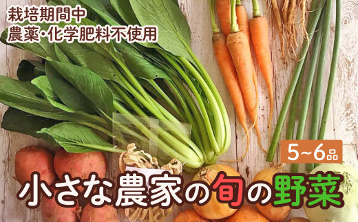 旬の野菜セット　5品~6品　野菜 野菜詰め合わせ おまかせ 新鮮 旬の野菜 愛知県 豊橋市