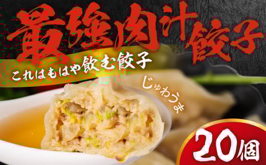 とよはし『最強肉汁餃子』20個入り