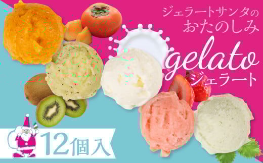 店長おすすめジェラート 12個入