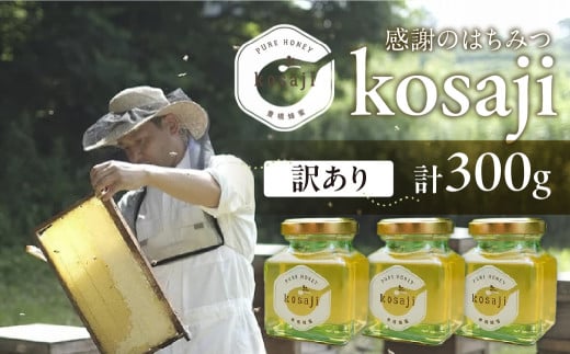 豊橋蜂蜜【kosaji】春はちみつ 300g 訳あり(100g×3) 蜂蜜 はちみつ 国産 常温 はちみつ ハチミツ 蜂蜜 ハニー 送料無料 愛知県 豊橋市