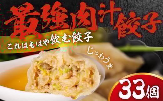 とよはし 訳あり『最強肉汁餃子』33個　簡易包装（ご家庭用）