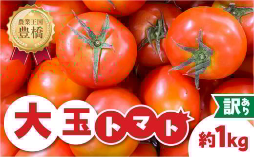 ≪先行予約≫ 訳ありトマト 約1kg とまと トマト tomato 野菜 甘み サンドイッチ サラダ 訳あり 訳アリ わけあり ワケアリ 規格外 旬 旬の野菜 健康 愛知県 豊橋市