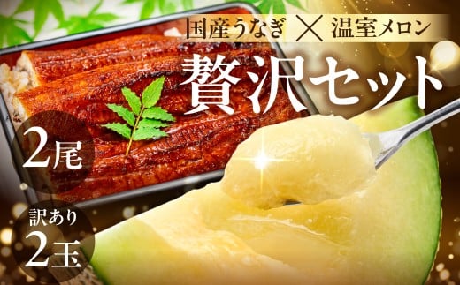 国産うなぎ & 温室メロン セット うなぎ 訳あり 蒲焼 2尾 メロン 2玉 ウナギ 鰻 蒲焼き 土用丑の日 丑の日 簡単調理 惣菜 フルーツ くだもの unagi 暑さ 対策 贅沢 簡単調理 惣菜 デザート 愛知県 豊橋市