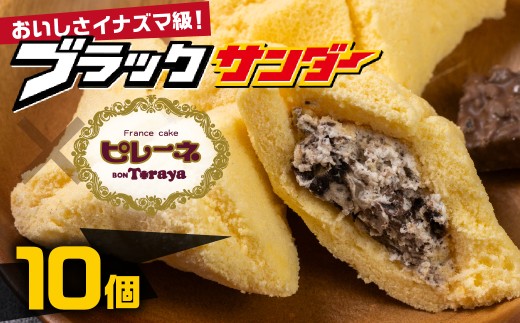 豊橋名物ピレーネ 【ブラックサンダー】 10個セット コラボ スイーツ ケーキ チョコ お菓子 セット クリーム お取り寄せ プレゼント ギフト グルメ 内祝い お祝い 詰め合わせ 愛知県 豊橋市