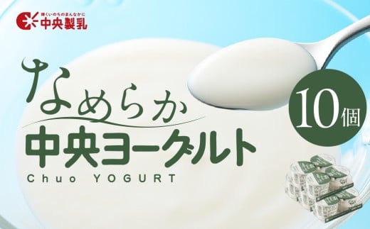 中央製乳 中央ヨーグルト2p 10個セット こだわり なめらか おやつ デザート 乳製品 乳酸菌 健康 腸活 ロングセラー 愛知県 豊橋市