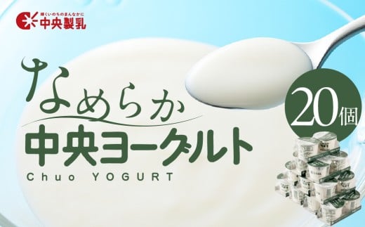 中央製乳 中央ヨーグルト2p 20個セット こだわり なめらか おやつ デザート 乳製品 乳酸菌 健康 腸活 ロングセラー 愛知県 豊橋市