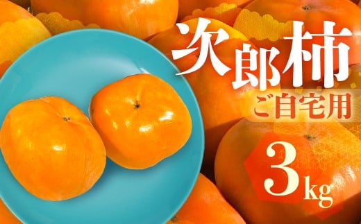 ≪すぐにお届け!≫  次郎柿 ご自宅用 3kg 生産量日本一 愛知県豊橋産  柿 訳あり 不揃い 甘柿 果物 フルーツ 10月 11月 愛知県 豊橋市 ビタミンC 高栄養価 食物繊維 旬をおとどけ