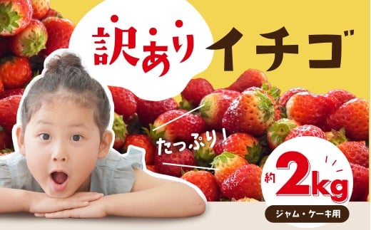 ≪先行予約≫ 訳ありイチゴ 約2kg 【ジャム用】 (約250g×8パック) 詰め合わせ イチゴ いちご 苺 ブランドイチゴ 果物 フルーツ