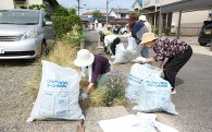 環境に関すること