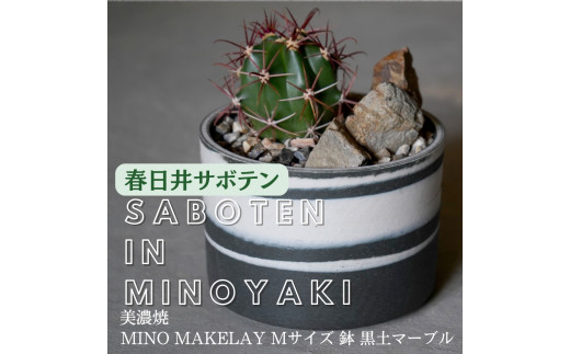 多治見市×春日井市コラボ 【美濃焼】 MINO MAKELAY Mサイズ 鉢 黒土マーブル ×【日本有数のサボテン産地】 春日井市の名店 後藤サボテン
