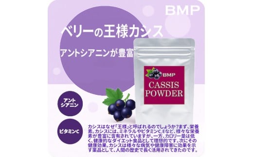 BMP カシスパウダー1kg（100g×10袋）（カシス濃縮果汁粉末）
