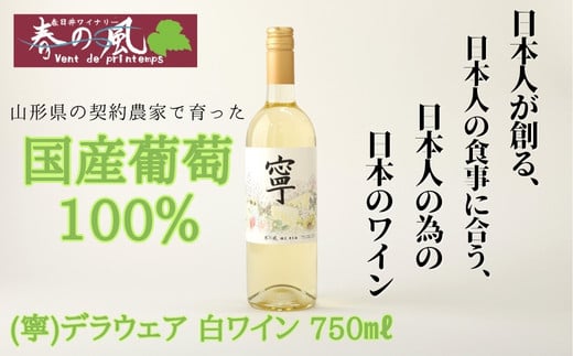 春日井ワイナリー 春の風 (寧) デラウェア 白ワイン 750ml | 白 ワイン 日本ワイン 国産ワイン ロゼ 国産 葡萄100%ワイン ぶどう100% デラウェア ライト 甘口 香り 春日井 ワイナリー ご当地 アルコール ギフト 贈り物 Japanese Wine 愛知県 春日井市