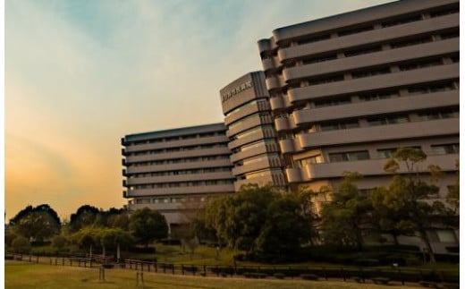 【贈り物にも】トワイライトドック～夕方からの脳の健康診断～