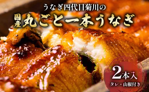 うなぎ四代目菊川の「丸ごと一本鰻」2本入_うなぎ 鰻 ウナギ 蒲焼き 蒲焼 かば焼き タレ 山椒 真空包装 真空 惣菜 おかず おつまみ 土用 丑の日 うな重 うな丼 ひつまぶし 贈答 ギフト プレゼント 冷凍 愛知県 送料無料【1228655】