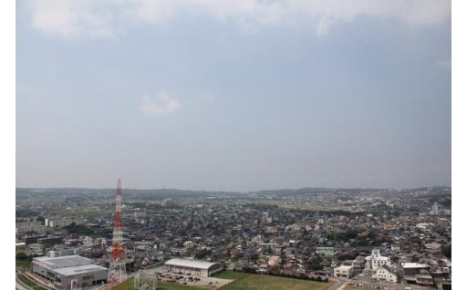 その他町長にお任せします