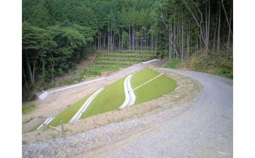 潤いと快適な居住環境のまちづくり