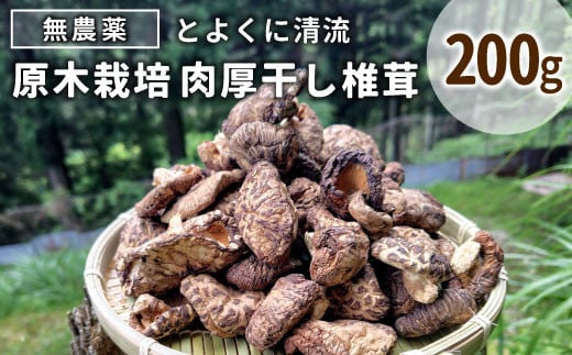 原木栽培 無農薬★とよくに清流 ほししいたけ 干ししいたけ 乾燥しいたけ しいたけ 椎茸 野菜 原木しいたけ BBQ 肉厚 -017