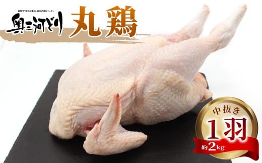 クリスマスにおすすめ！愛知県産 銘柄鶏 奥三河どり 丸鶏 １羽 約2ｋｇ 中抜き 国産 丸ごと一羽 冷凍 生 生鶏 チキン クリスマス パーティー バーベキュー BBQ アウトドア キャンプ ダッチオーブン チキン 鶏肉 鶏 高品質 平飼い -215