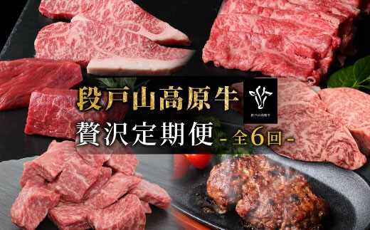 定期便限定部位が入った！全6回 段戸山高原牛 贅沢定期便 ロース サーロイン サーロインステーキ ハンバーグ すき焼き しゃぶしゃぶ サイコロステーキ ランプ モモ モモブロック 塊肉 ヒレ 希少部位 -331